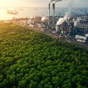 The Green Paradox: When Democrats Embrace Free Trade, Environmentalism Suffers
