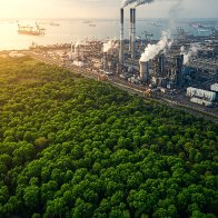 The Green Paradox: When Democrats Embrace Free Trade, Environmentalism Suffers
