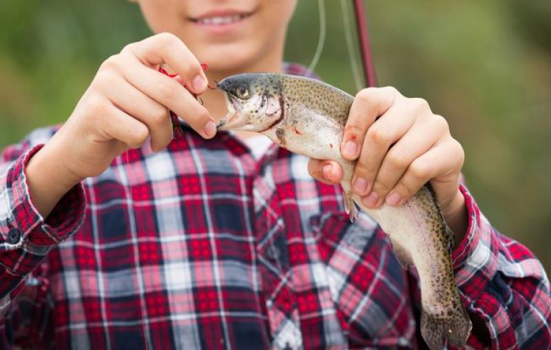 Why catch and release is tough on fish 