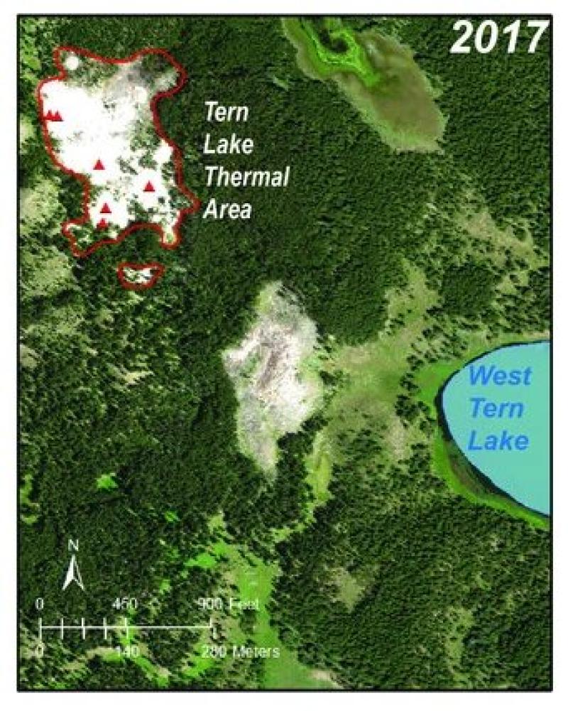 It’s Warm and Stealthy, and It Killed Yellowstone Trees and Turned Soil Pale