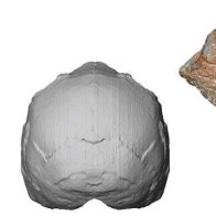 Greek find called earliest sign of our species out of Africa 