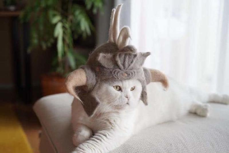 This Japanese Artist Creates Hats For Cats Made From Their Own Hair
