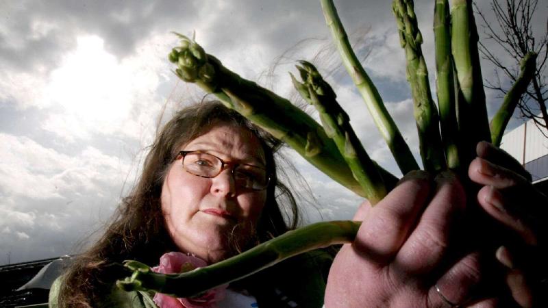 Woman claims she predicted Harry and Meghan Markle splitting from royal family by reading asparagus spears