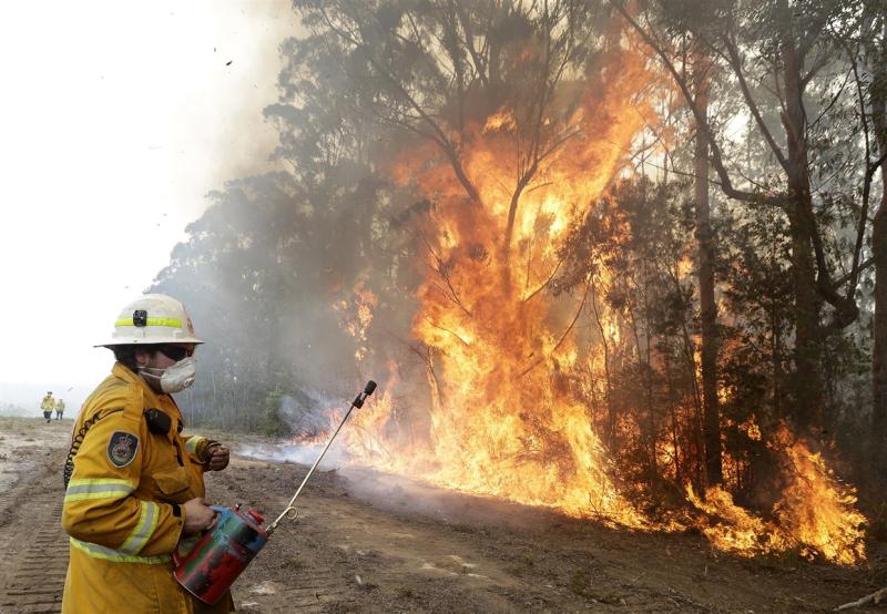 Everyday Australians step up as relentless wildfires push country to the brink