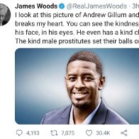 James Woods wins best tweet of the year!