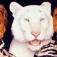 Roy Horn Dead of Coronavirus: Siegfried & Roy Illusionist Was 75 | PEOPLE.com