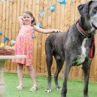 Freddy the Great Dane, the tallest dog in the world, has died
