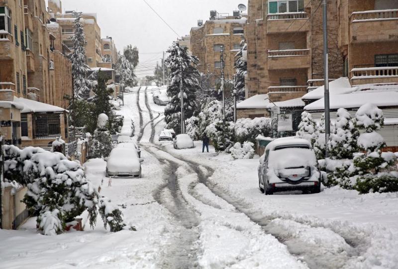 Camels 'Confused' by Snow as Video of Saudi Arabia Winter Storm Goes Viral