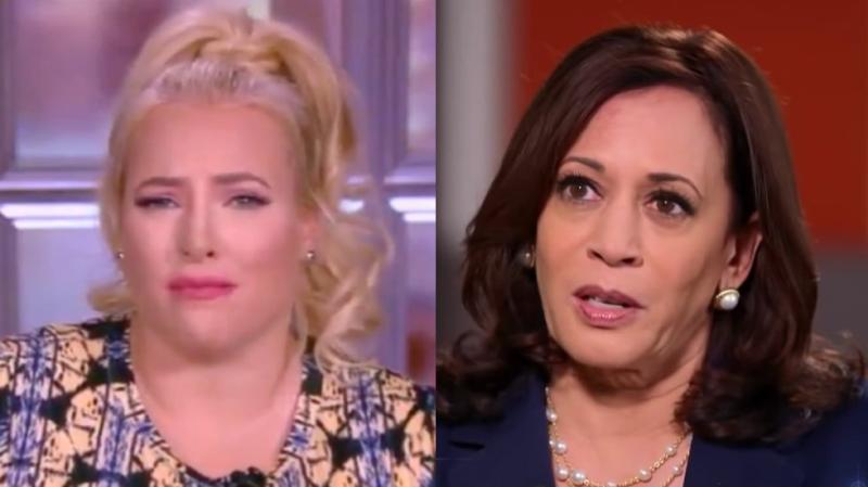 Meghan McCain: Harris 'sounded like a moron' discussing immigration