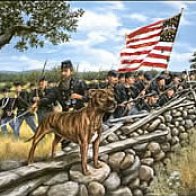 Man's Best Comrade: Sallie and the 11th Pennsylvania | Emerging Civil War