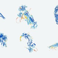 DeepMind puts the entire human proteome online, as folded by AlphaFold