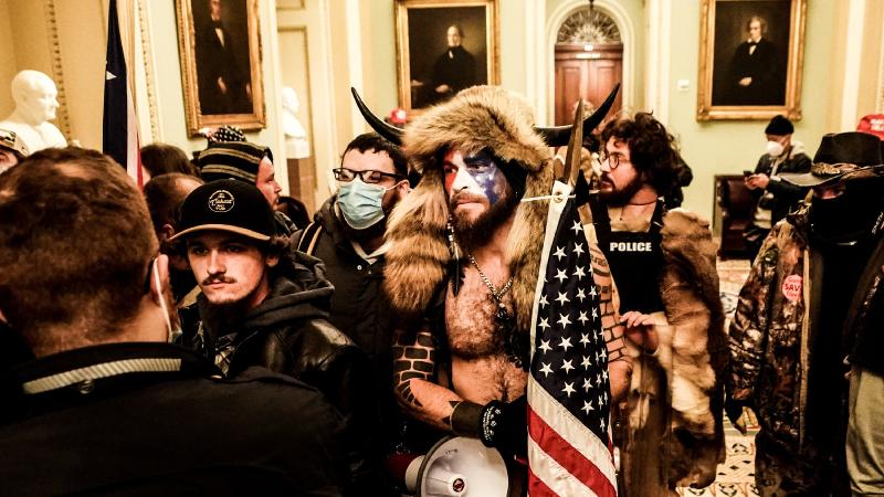 Capitol Rioter Known as QAnon Shaman Pleads Guilty - The New York Times