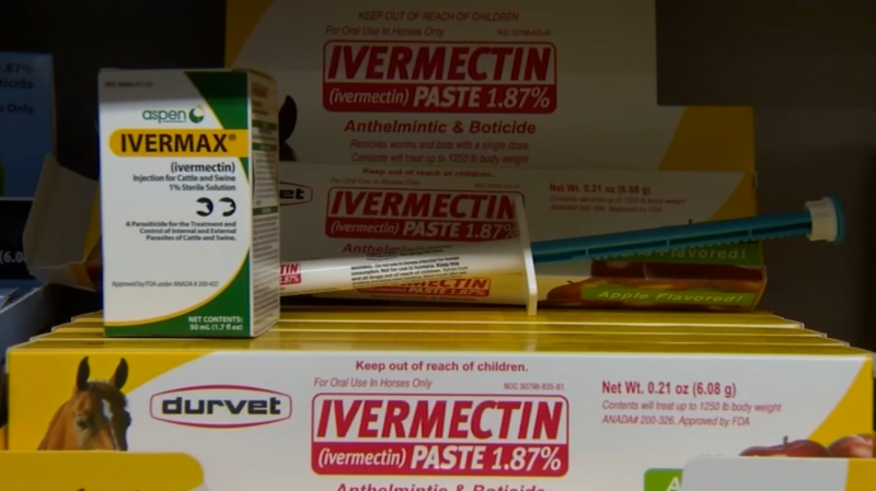 Ivermectin use surges despite no evidence it treats COVID-19. So why are people still taking it? 