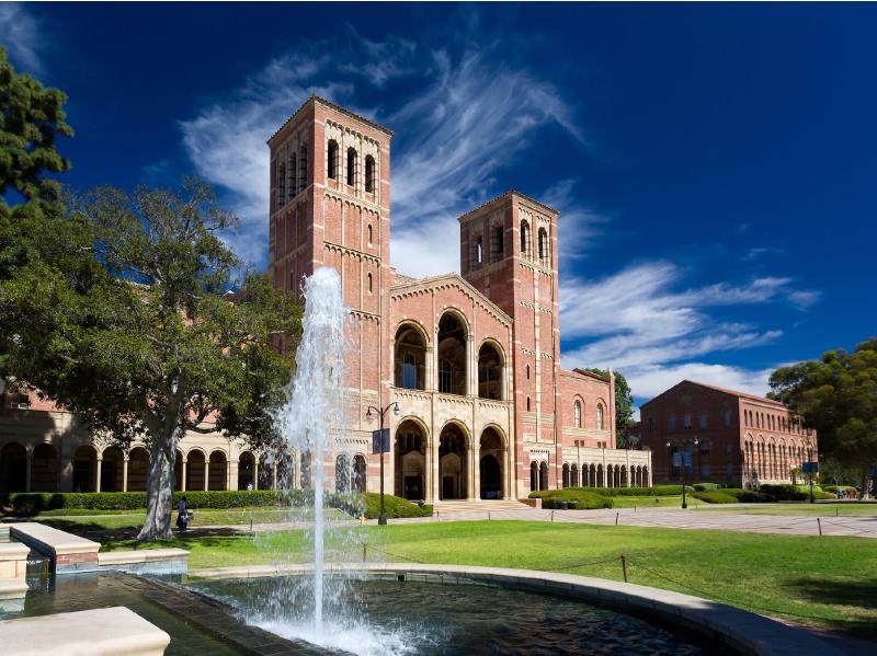 A UCLA professor suspended in a row over grades for Black students claims it was to distract from the business school that's 'inhospitable' to people of color