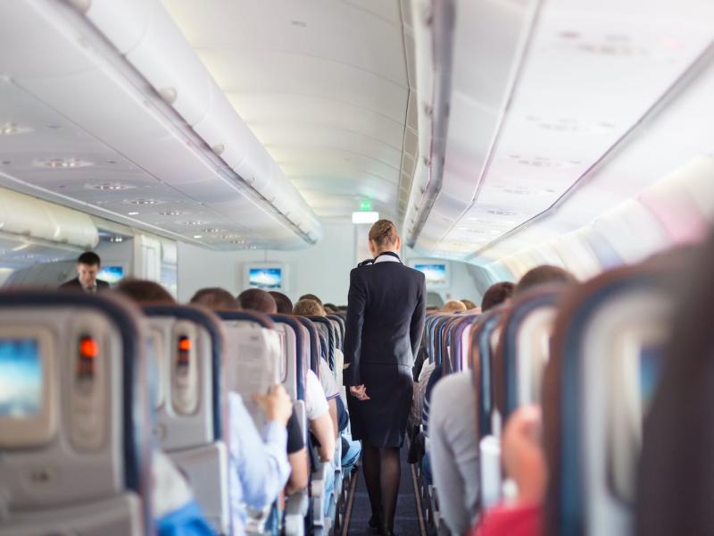 'At 38,000 feet, we are all you have' - flight attendants are fed up with a growing number of violent in-flight encounters
