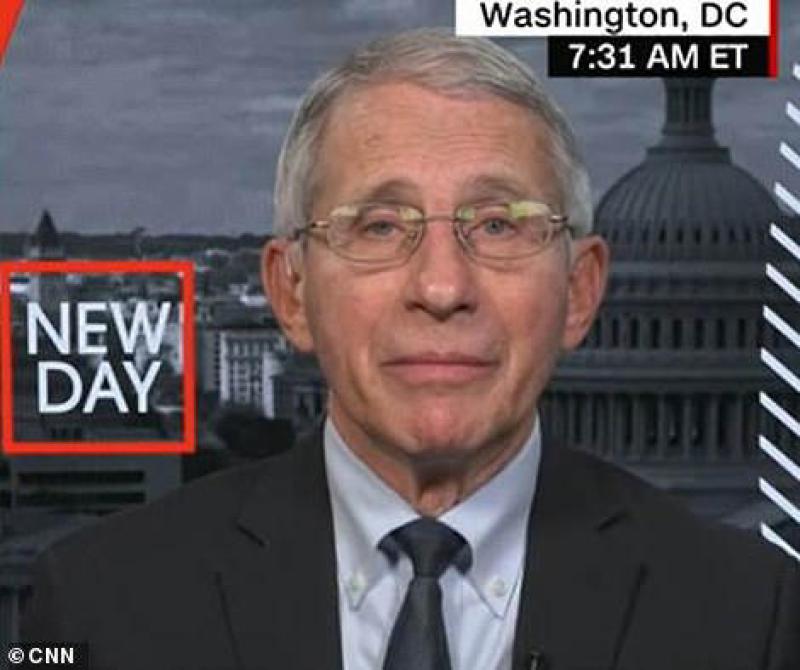 Fauci says US will not ban flights from South Africa for now