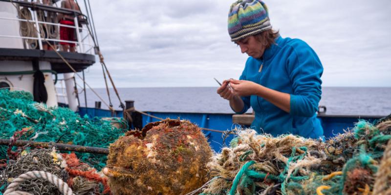 On the Great Pacific Garbage Patch, scientists find a surprise: Coastal life