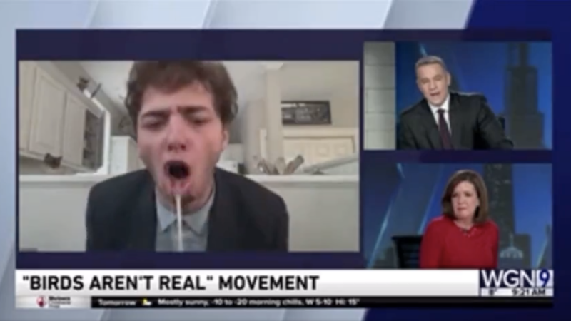 The "Birds Aren't Real" guy trolled a Chicago news station and fake puked on live TV