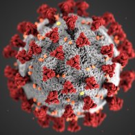 Social-media users in China are obsessing over a conspiracy theory claiming the COVID-19 virus was produced by US-linked laboratories in Ukraine
