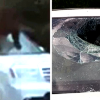 Bear stuck inside family SUV breaks windshield to escape