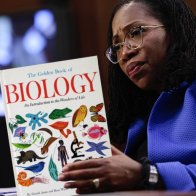 Ketanji Brown Jackson Up All Night Reading Biology Textbooks Trying To Figure Out What Everybody Means By 'Women's' Right To Abortion