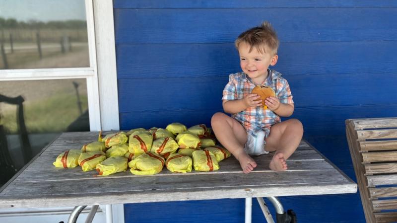Two-year old orders 31 cheeseburgers after mom leaves phone unlocked