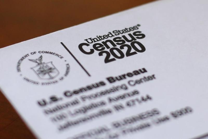 Who Rigged the Census? 