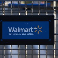 Walmart drops coconut milk amid monkey labor allegations