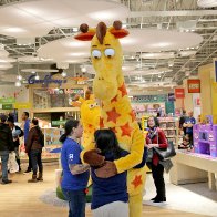 The giraffe is back : Macy's to open Toys R Us shops inside Chicago flagship, elsewhere