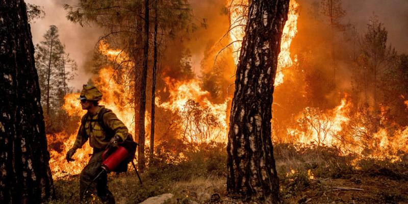 Dozens of buildings burn as gusty winds fan California wildfire