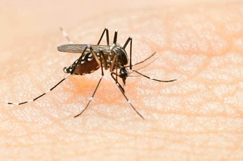 Some people are more irresistible to mosquitoes, and it’s not about your blood type
