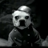 That time they made a parody of 'All Quiet on the Western Front' with dogs
