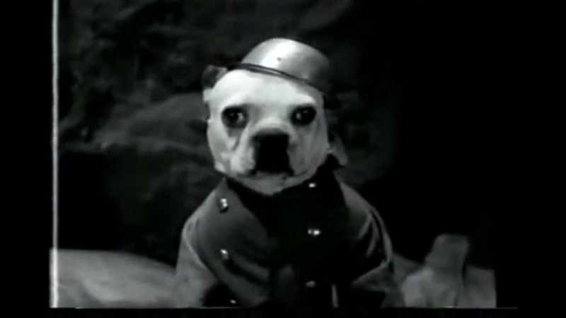 That time they made a parody of 'All Quiet on the Western Front' with dogs