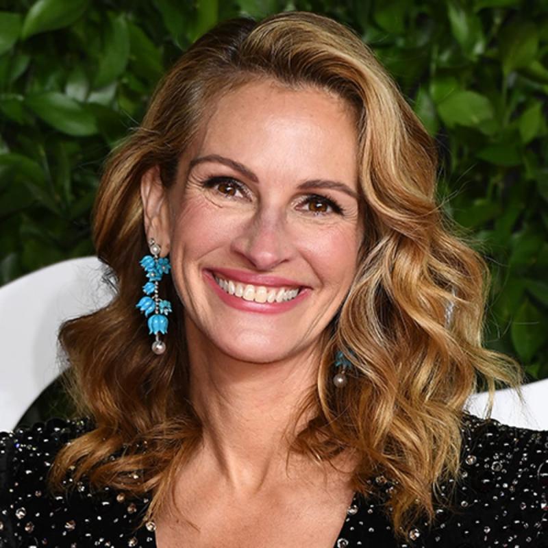 The unlikely bond between Julia Roberts and Martin Luther King Jr | Julia Roberts | The Guardian