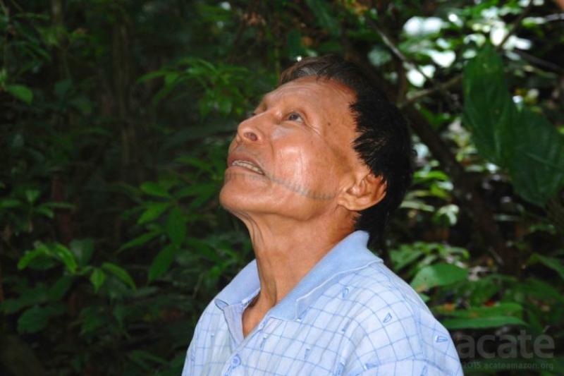 Amazon tribe creates 500-page traditional medicine encyclopedia