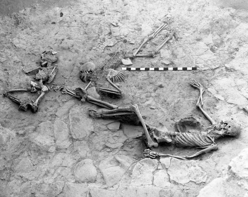 Ancient Civilization in Iran Recognized Transgender People 3,000 Years Ago, Study Suggests - Archaeology - Haaretz.com