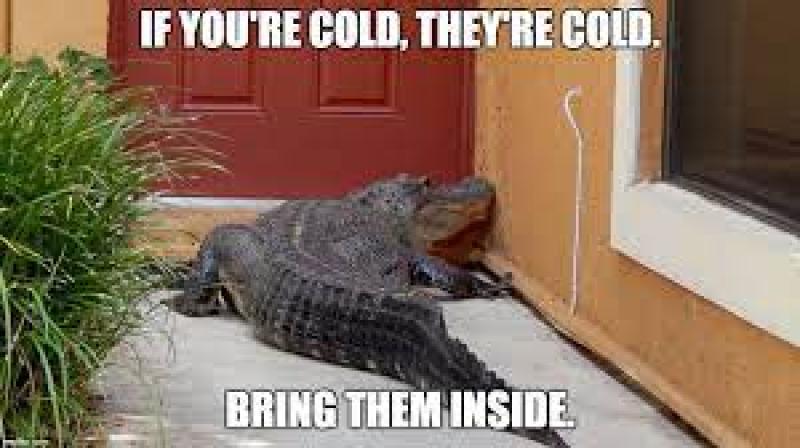 Safety Procedures for Those Living in Florida (Cold Weather)