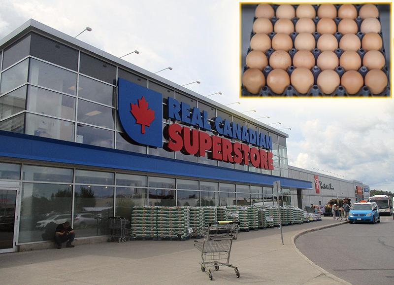 Man caught stealing eggs from Loblaws charged with theft over $5,000