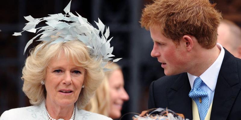 Prince Harry's 'attacks' on 'villain' Camilla led to Frogmore Cottage eviction: expert | Fox News