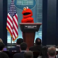 Biden Names Elmo New Press Secretary