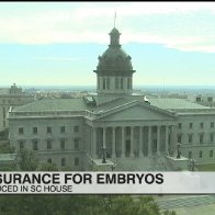 South Carolina bill seeks to extend life insurance coverage to embryos - ABC Columbia