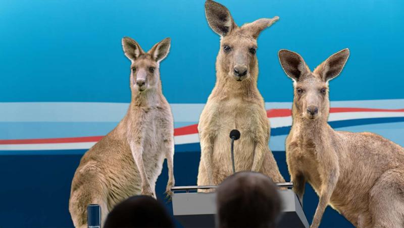 Kangaroos Ask People To Stop Unfairly Comparing Them To U.S. Justice System