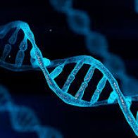 Genetics of aging uncovered with rare disease discovery