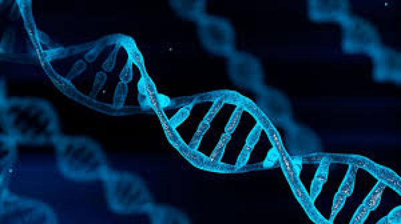 Genetics of aging uncovered with rare disease discovery