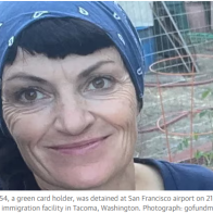 Irish woman living in US for decades detained by immigration officials | US news | The Guardian