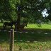 horse-outdoors-IMG_4031-2272x1704-2272x1704