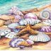 Screengrab-Shells_(Seashore)_Paint_by_Number_(11_x14_)_Dimensions_Paint_by_Number_-_2017-07-09