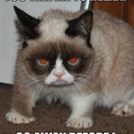 grumpy-cat-funny-pictures3