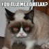 grumpy-cat-funny-pictures3