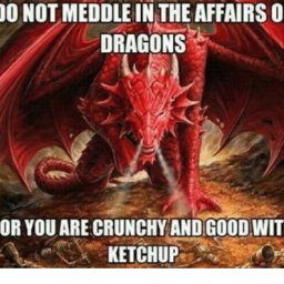 do-not-meddle-in-the-affairs-of-dragons-for-you-22582297.jpg